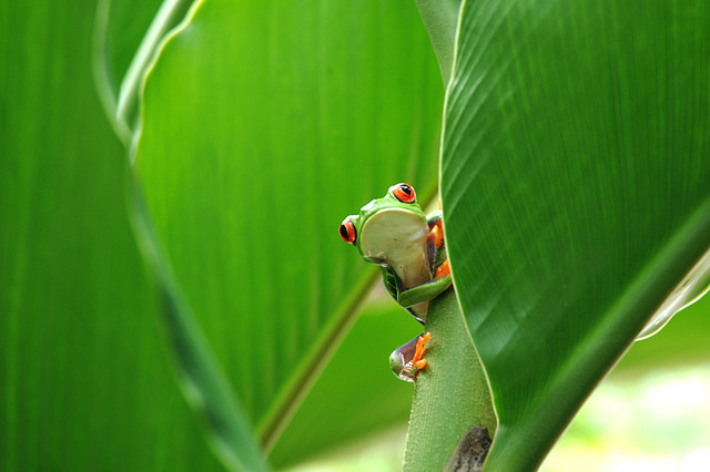 best places to visit in Costa Rica