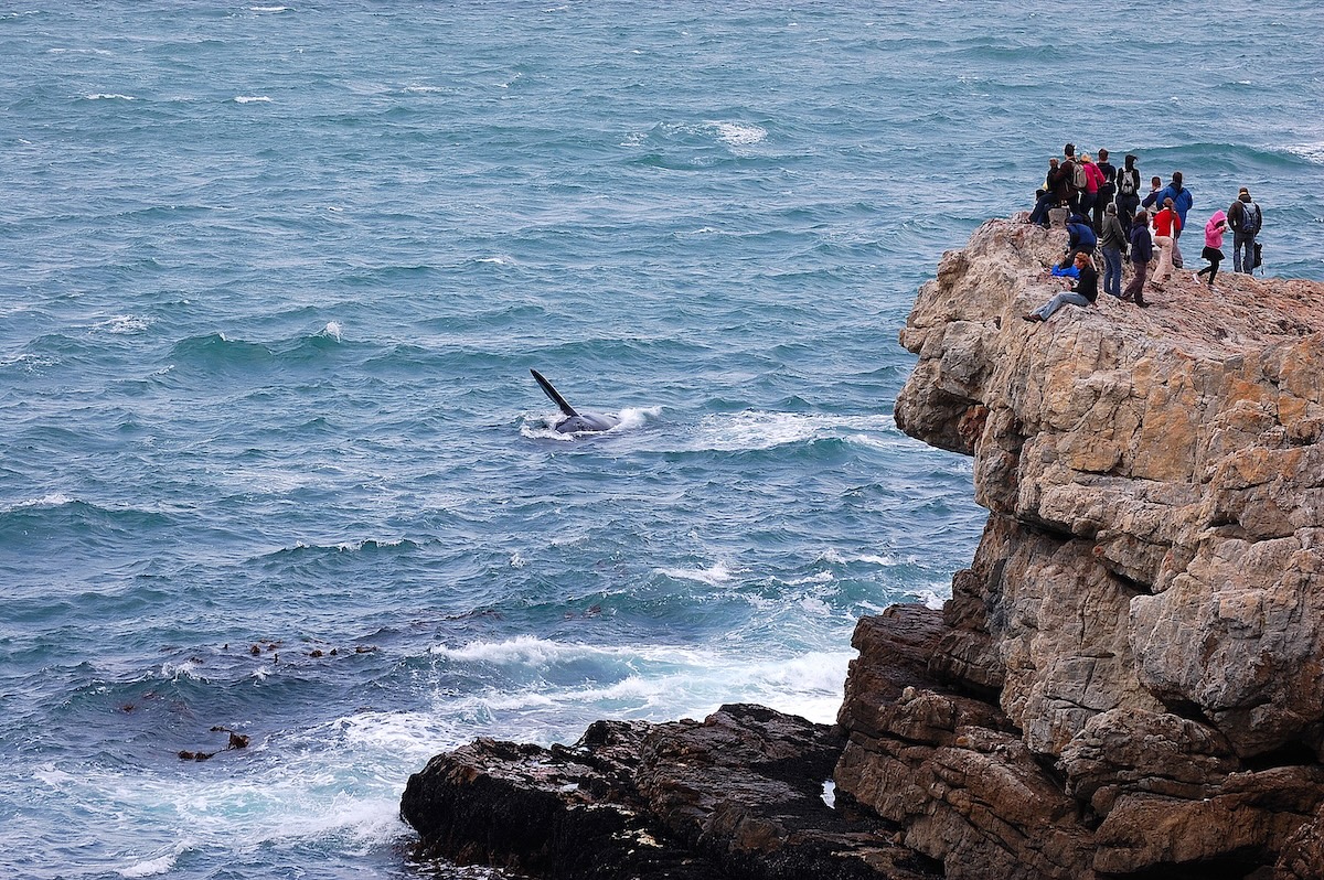 Hermanus
