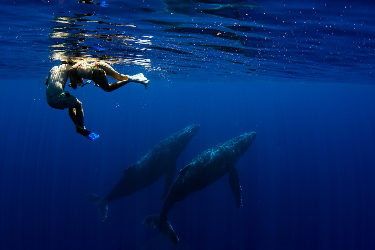 Moorea
