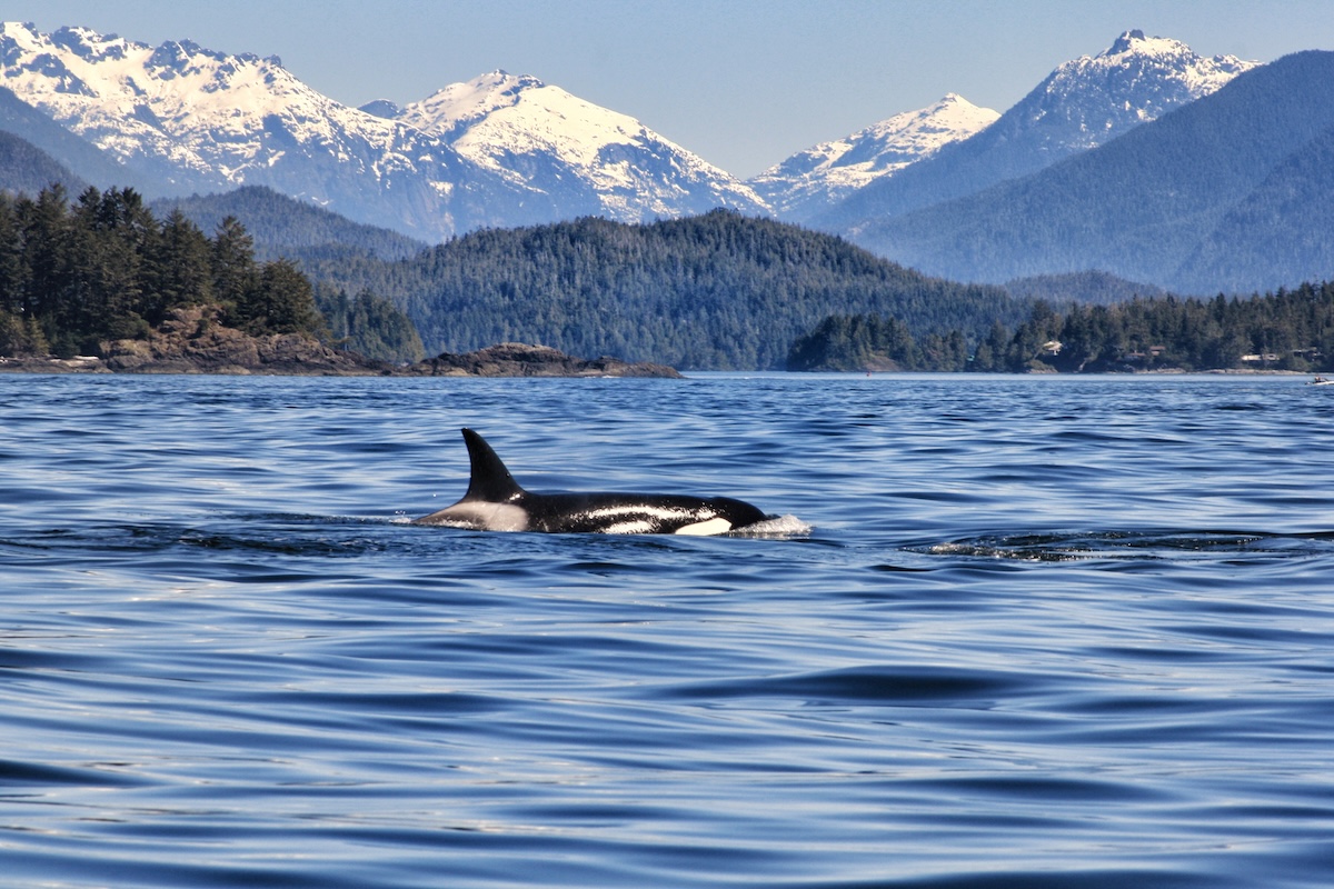 Vancouver Island