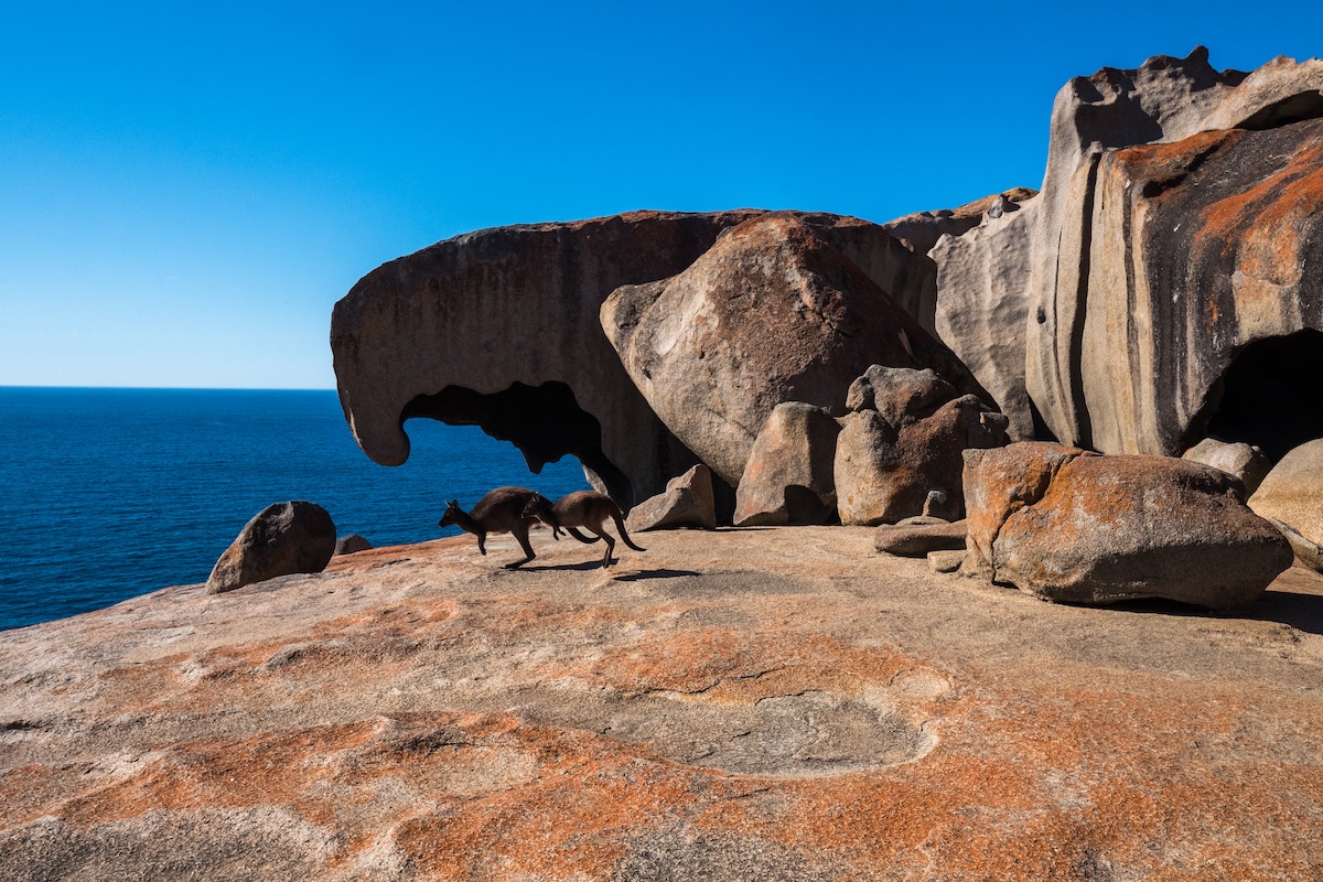 Kangaroo Island