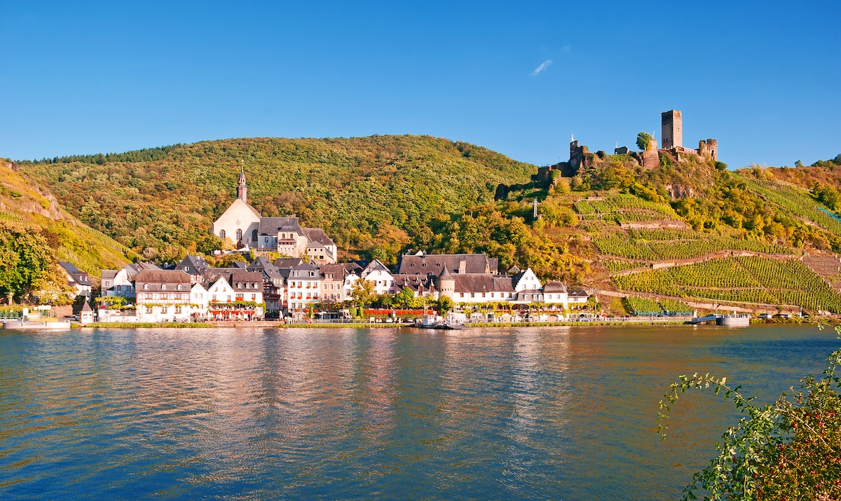 Metternich Castle