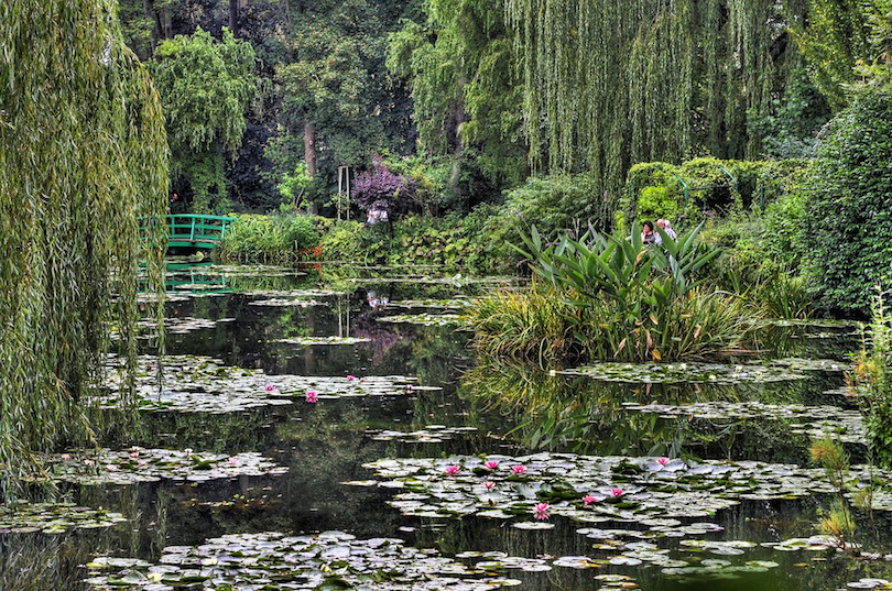 Monet's Garden at Giverny