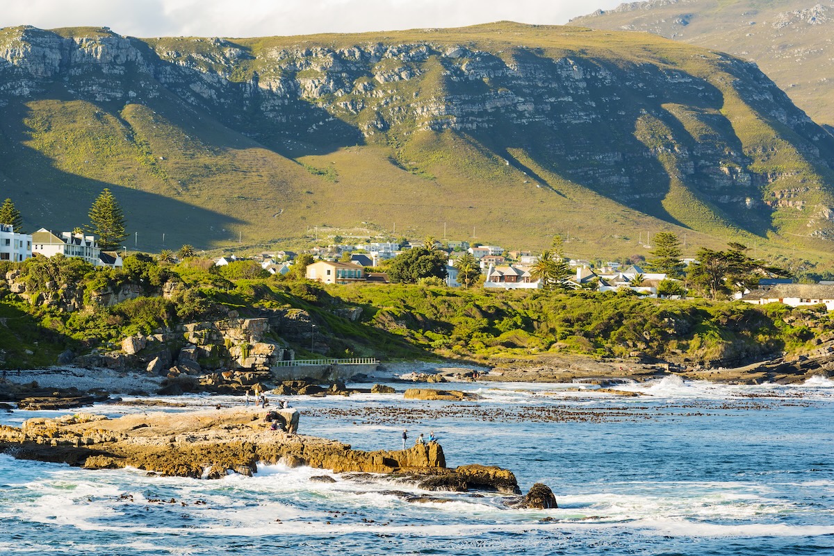 Hermanus