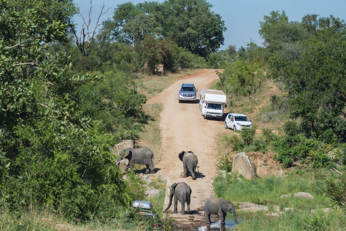 Kruger National Park