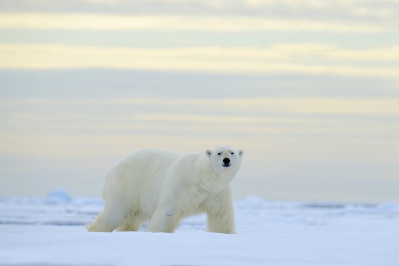 Svalbard