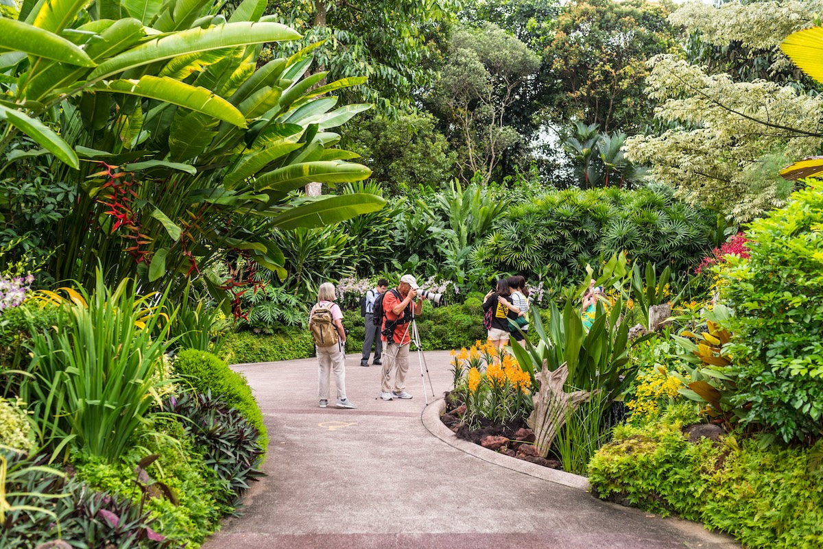 National Orchid Garden
