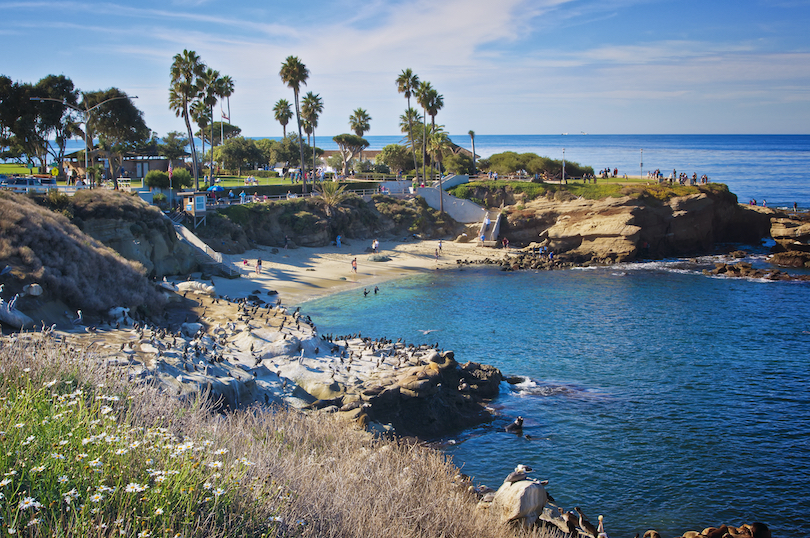 La Jolla Cove