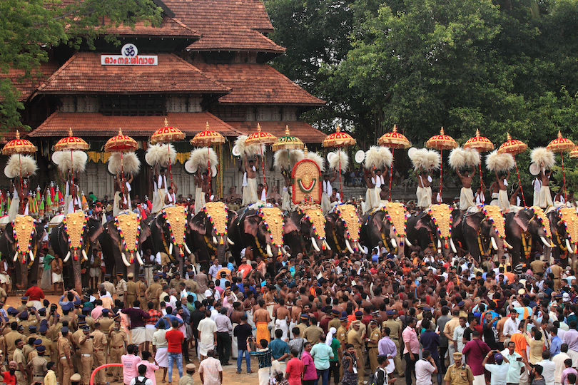Thrissur Pooram Elephant Festival