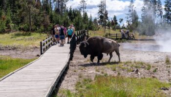 Yellowstone