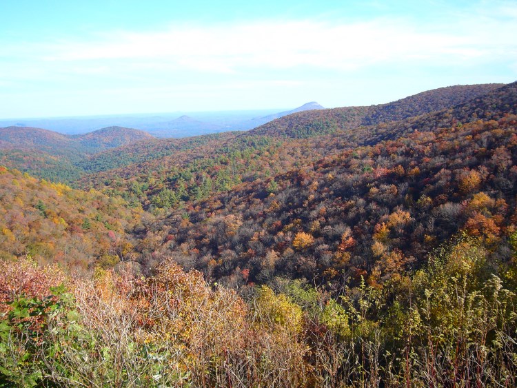 Chattahoochee National Forest