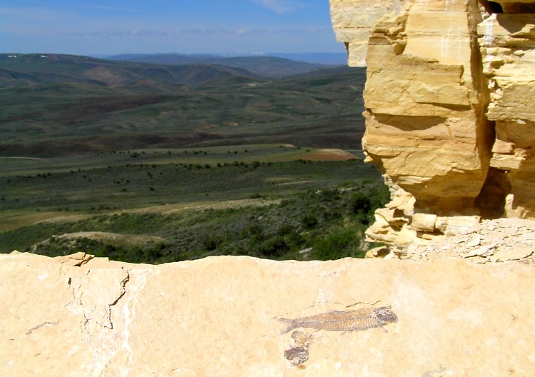 Fossil Butte National Monument