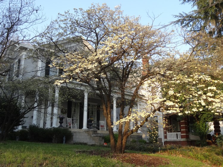 Macon