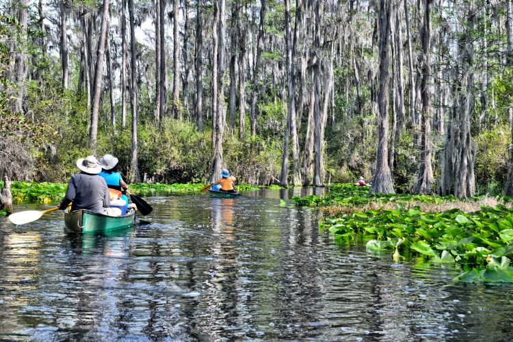 Okefenokee National Wildlife Refuge