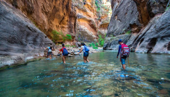 Zion National Park