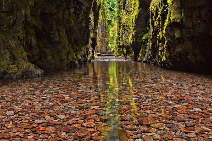 Oneonta Gorge