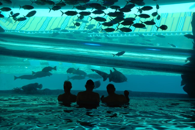 most amazing pools in the world