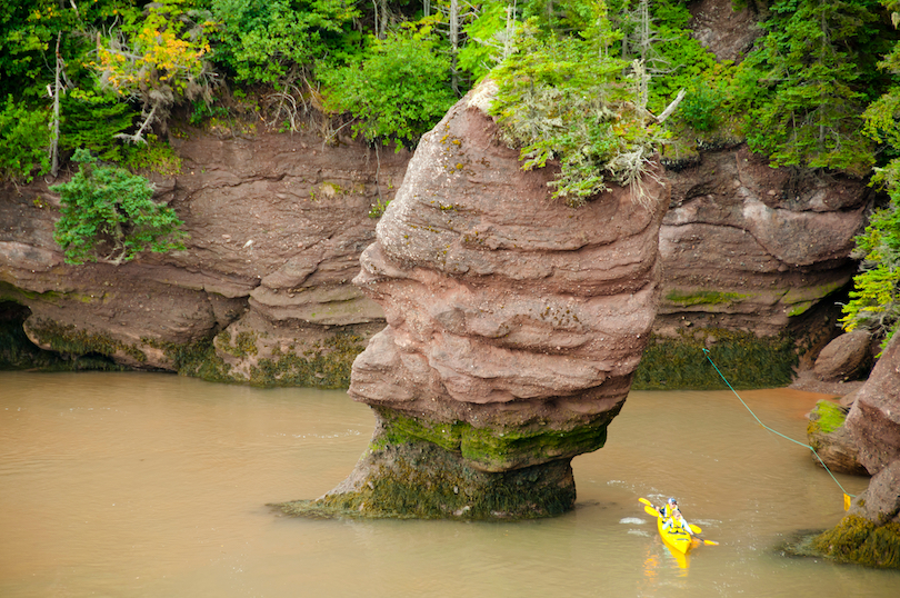 Hopewell Rocks