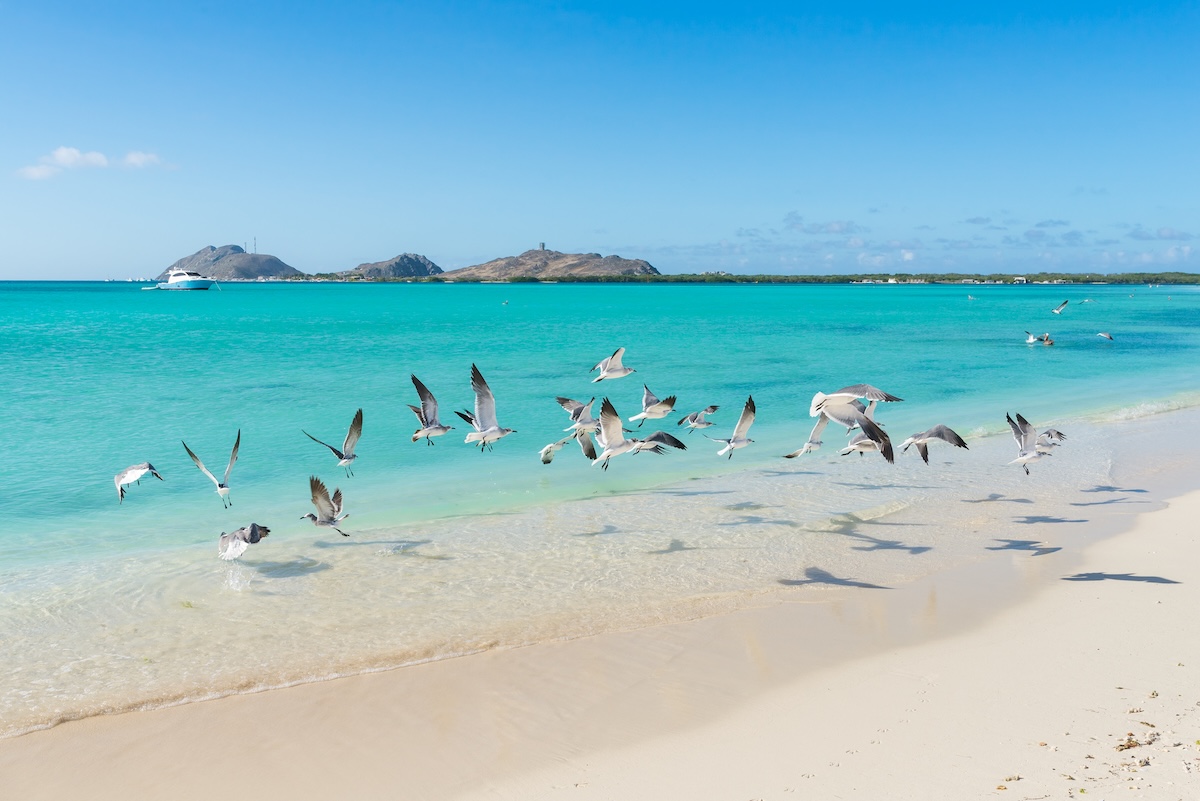 Los Roques
