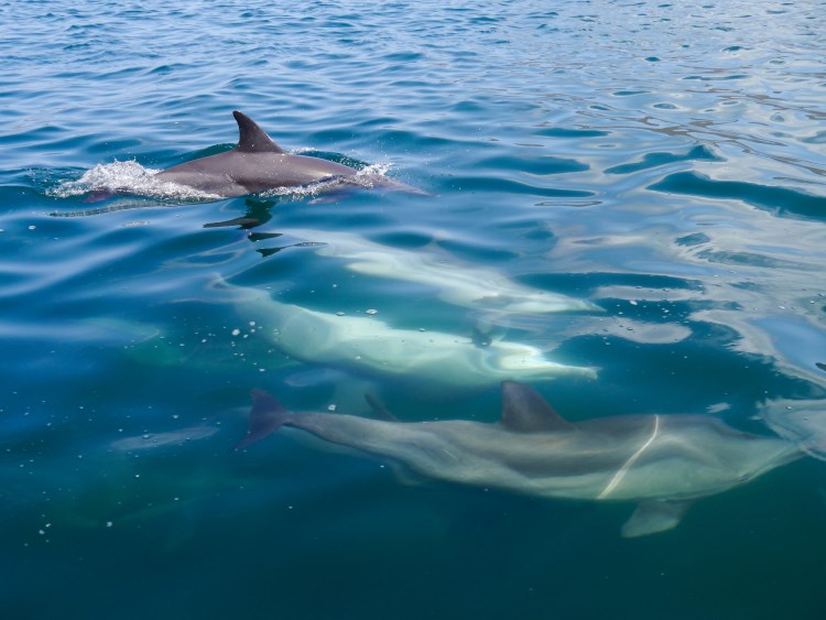 Mochima National Park