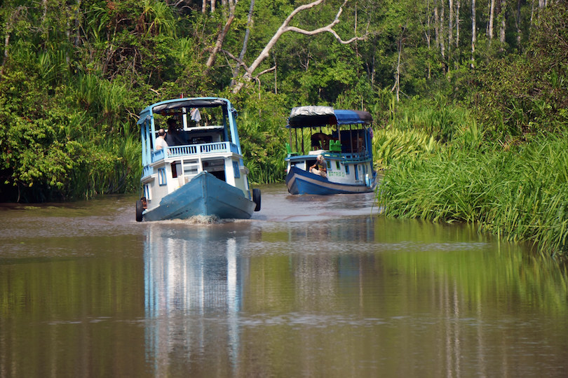 Tanjung Puting National Park