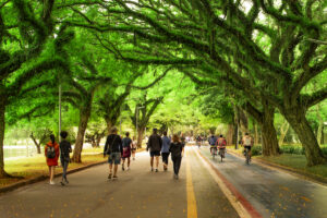 Things to Do in Sao Paulo