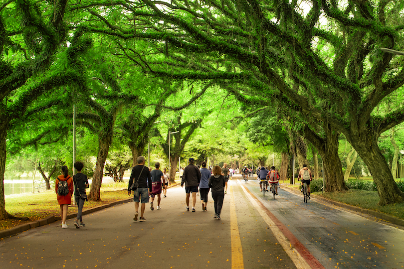 Ibirapuera Park