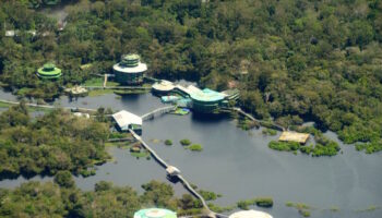 Stay in a Jungle Lodge