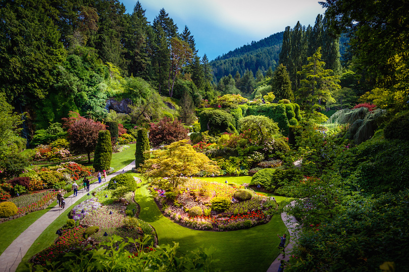 Butchart Gardens