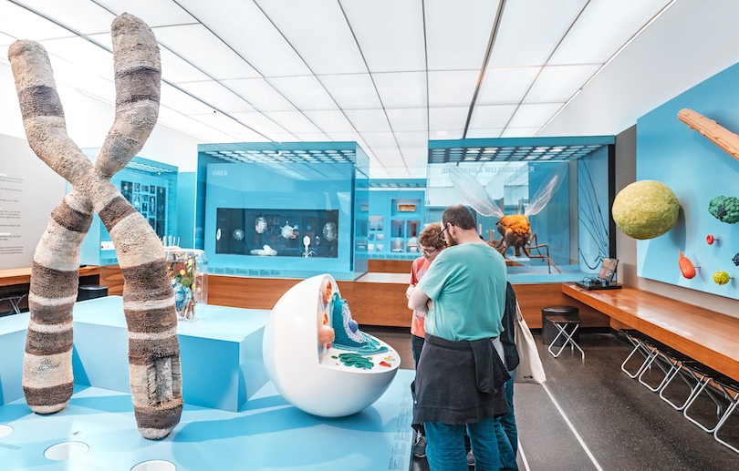 Deutsches Hygiene-Museum