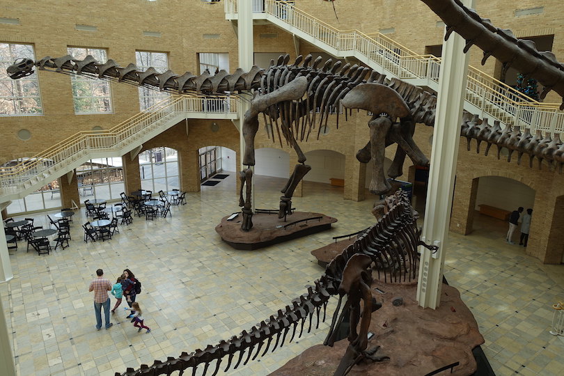 Fernbank Museum of Natural History