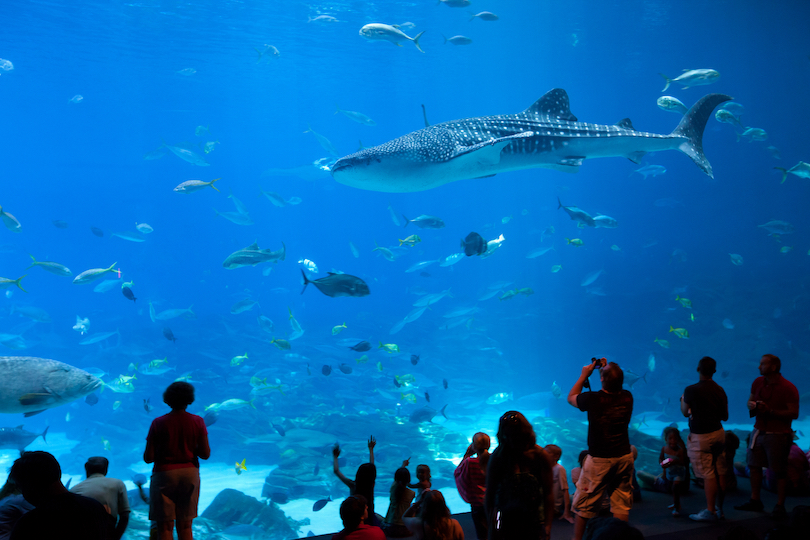 Georgia Aquarium