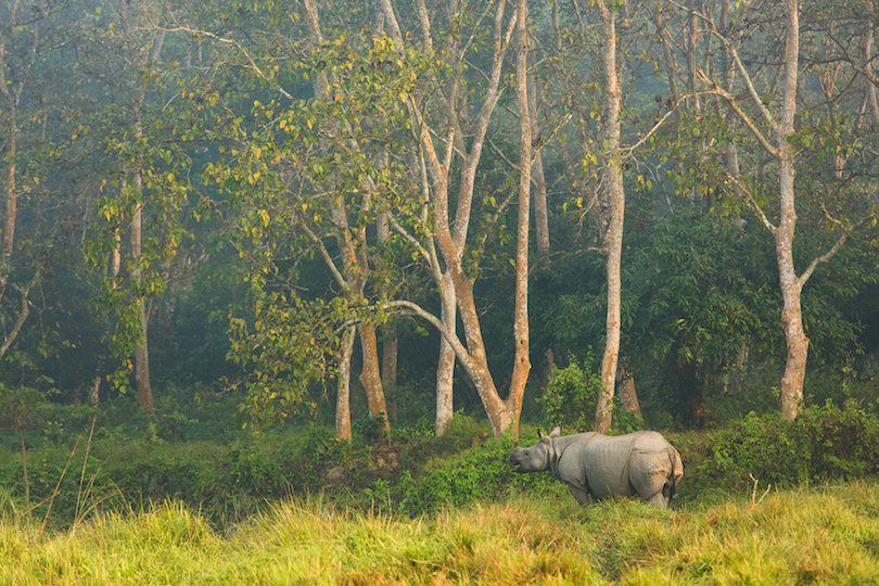 Chitwan National Park