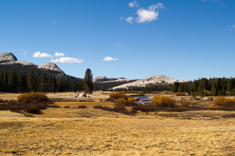 Tuolumne Meadows
