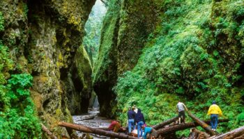 Oneonta Gorge