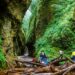 Oneonta Gorge