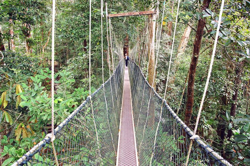 Canopy walk in Taman Negara