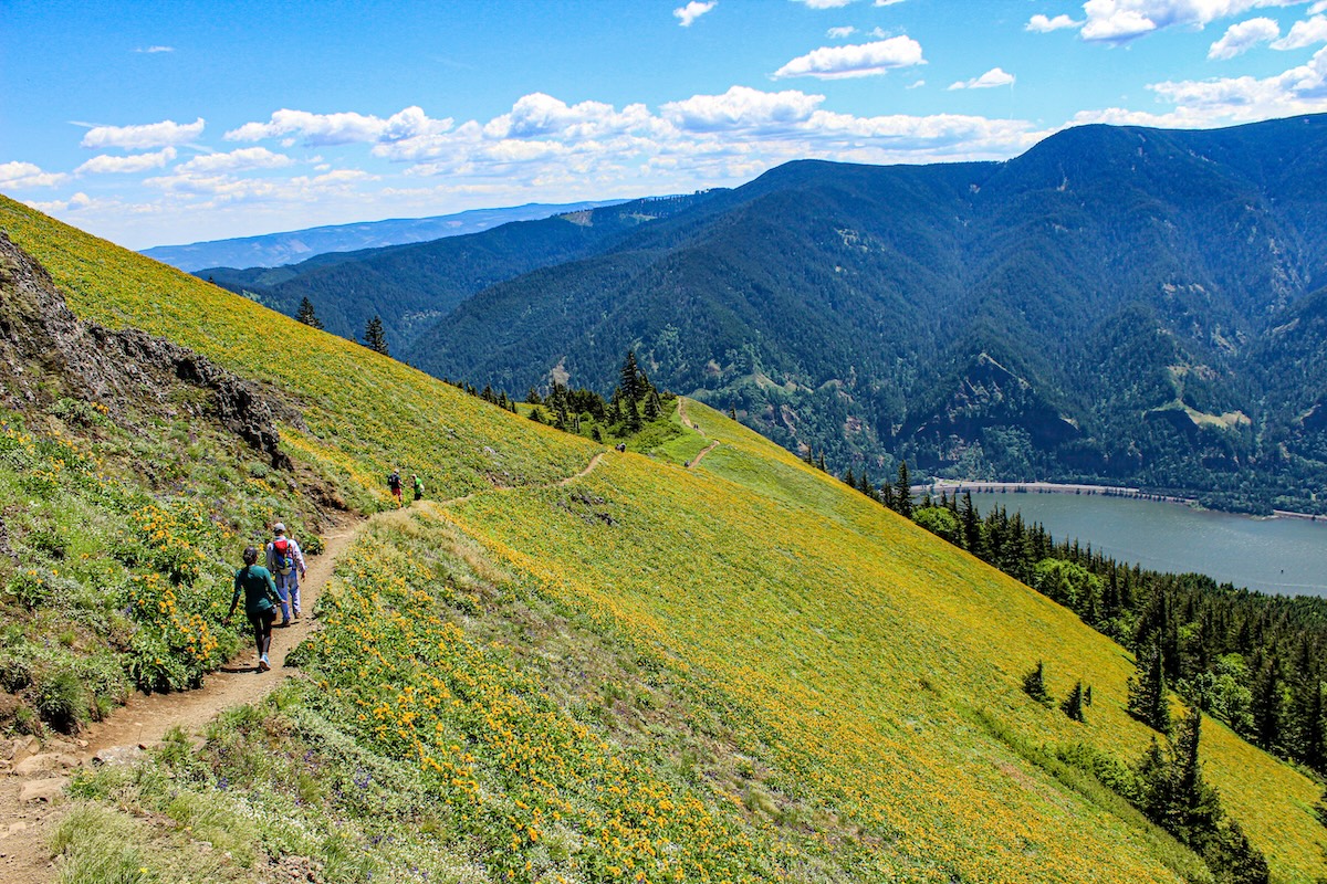 Columbia River Gorge