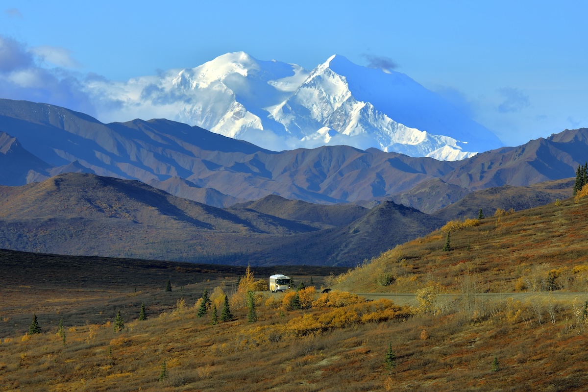 Denali National Park