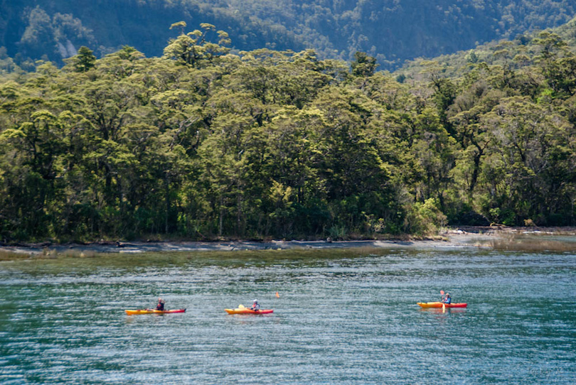 Kayaking in Milford Sound