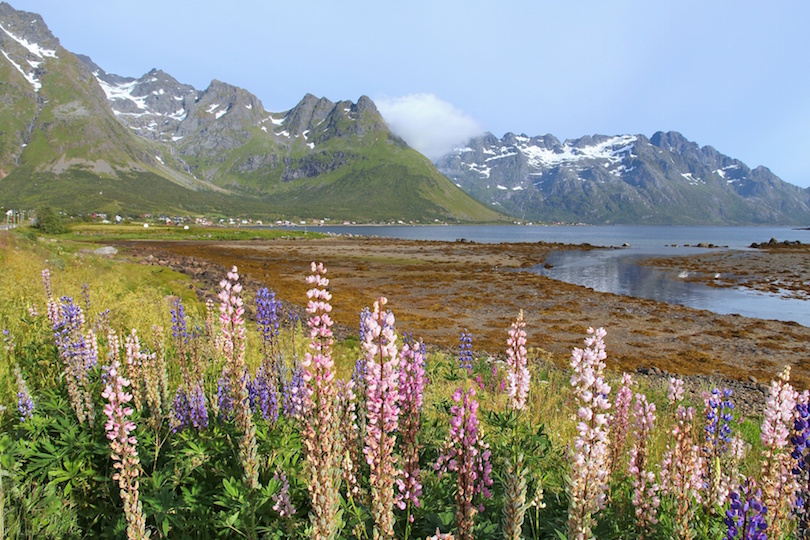 Lofoten landscape in Norway