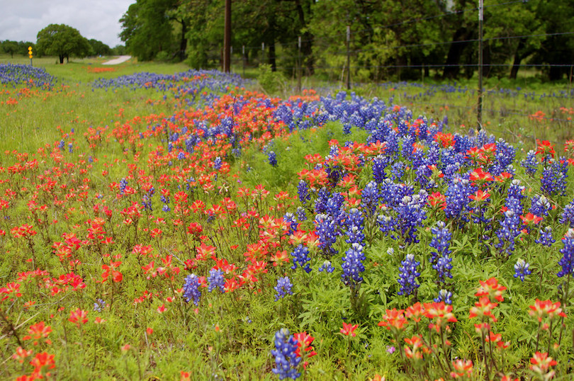 Texas Hill Country