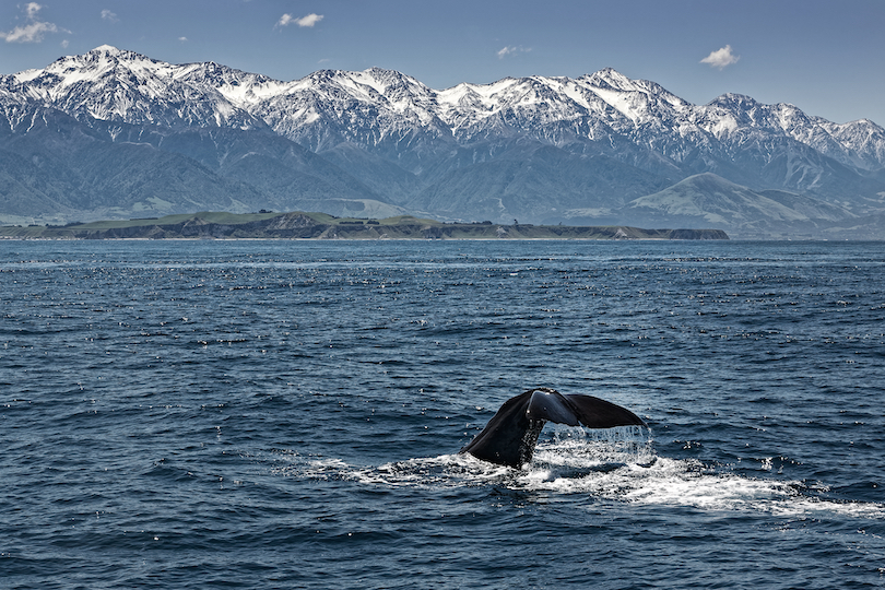 Kaikoura