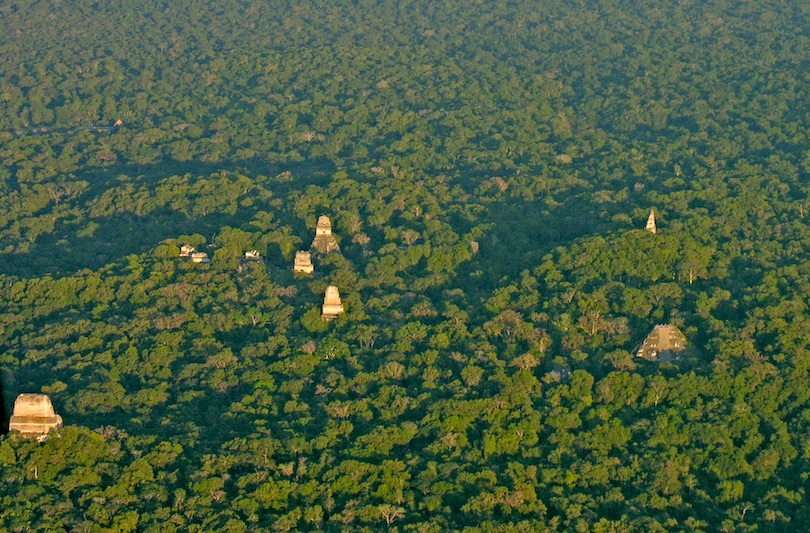 Tikal aerial