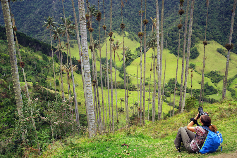 Valle de Cocora