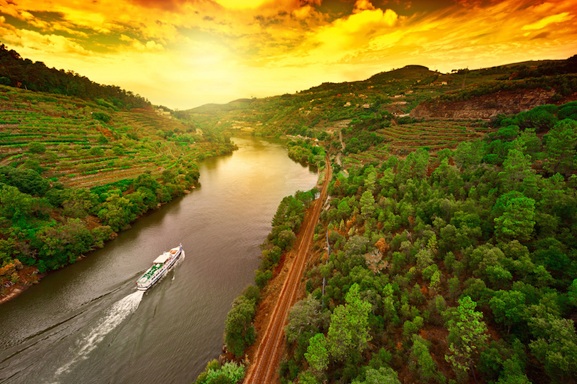Vineyards in the Valley of the River Douro
