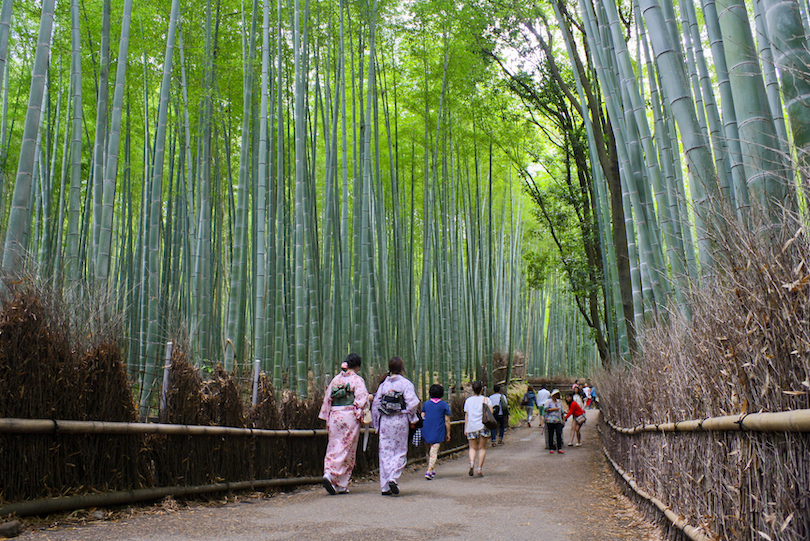 Arashiyama Bamboo Forest