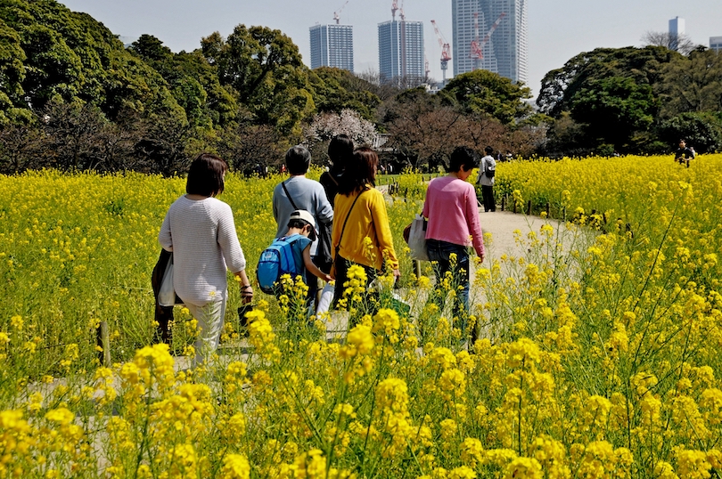 Hama Rikyu Gardens