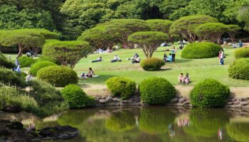 Things to Do in Tokyo