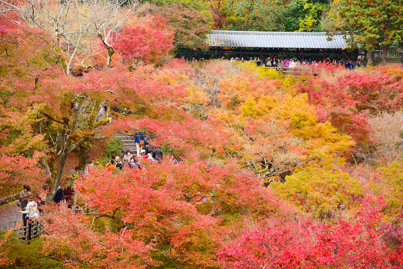 Tofukuji Temple